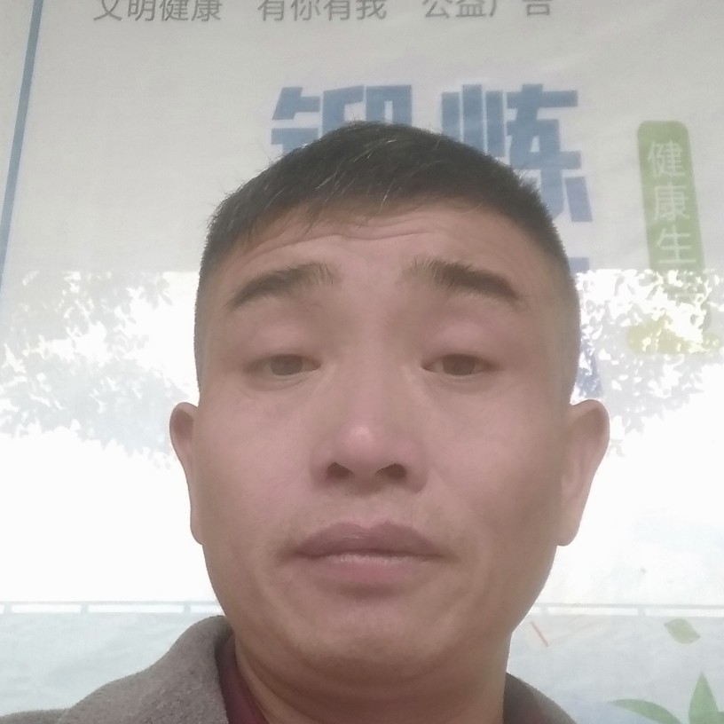 勤奋愿吐司的照片