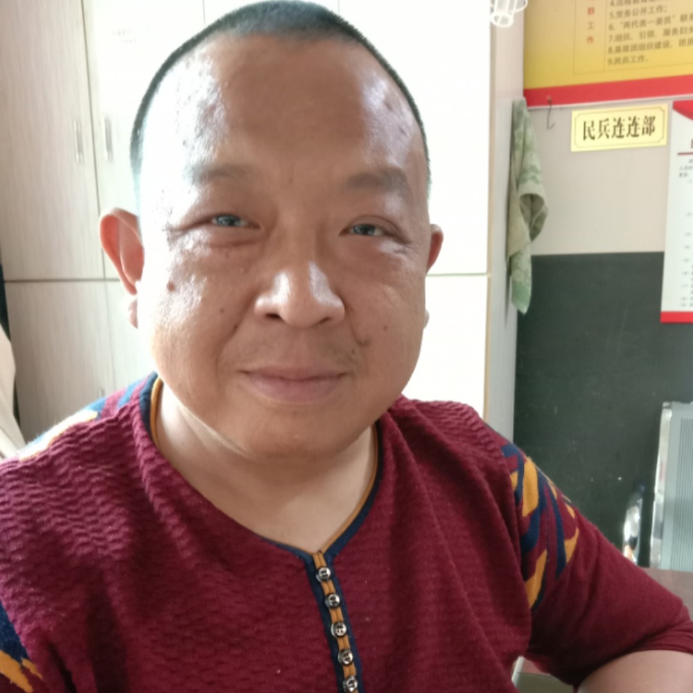 精明凝眸小猫咪的照片