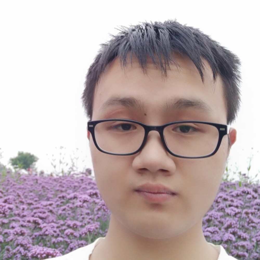 铅笔烂漫的照片