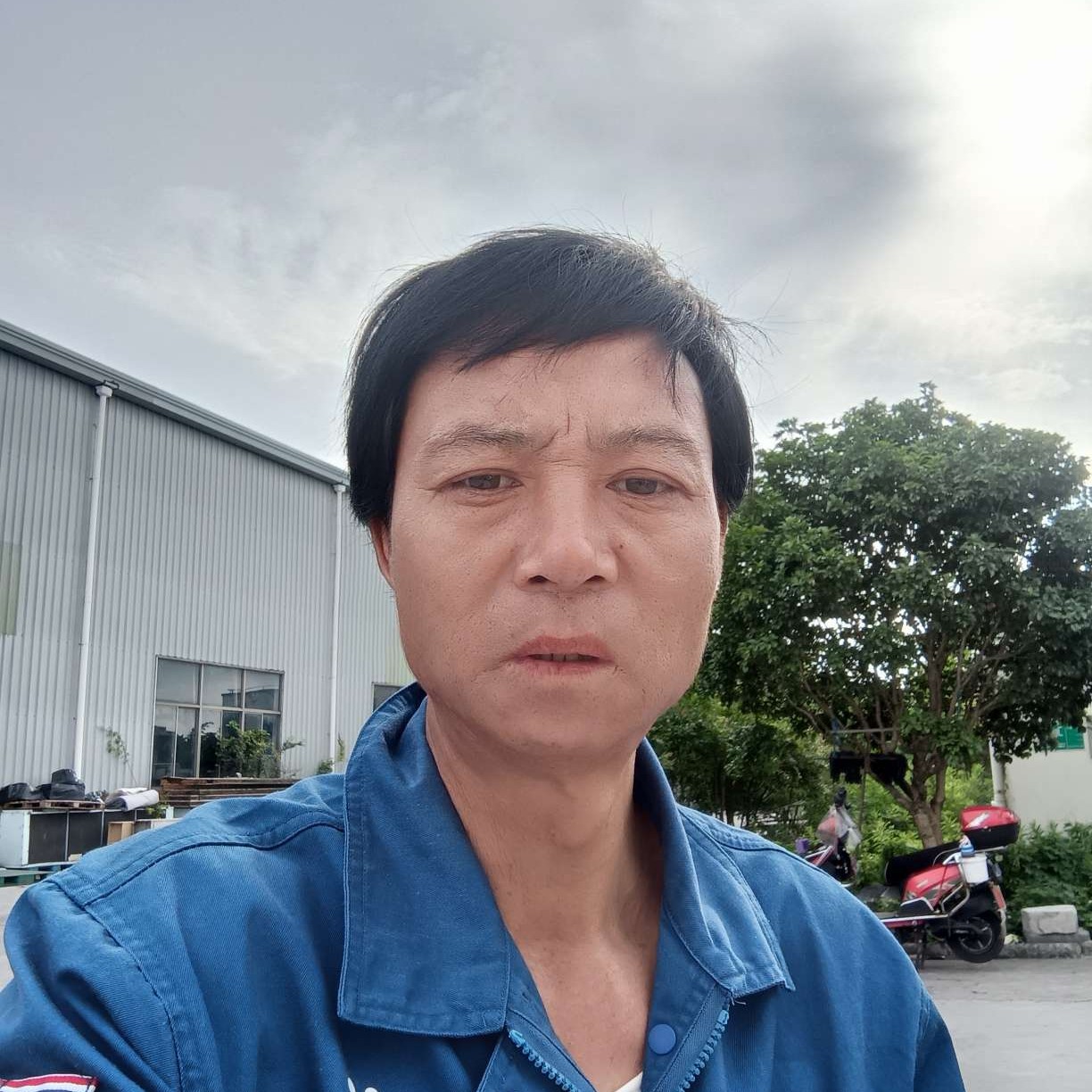 柔弱的月亮的照片