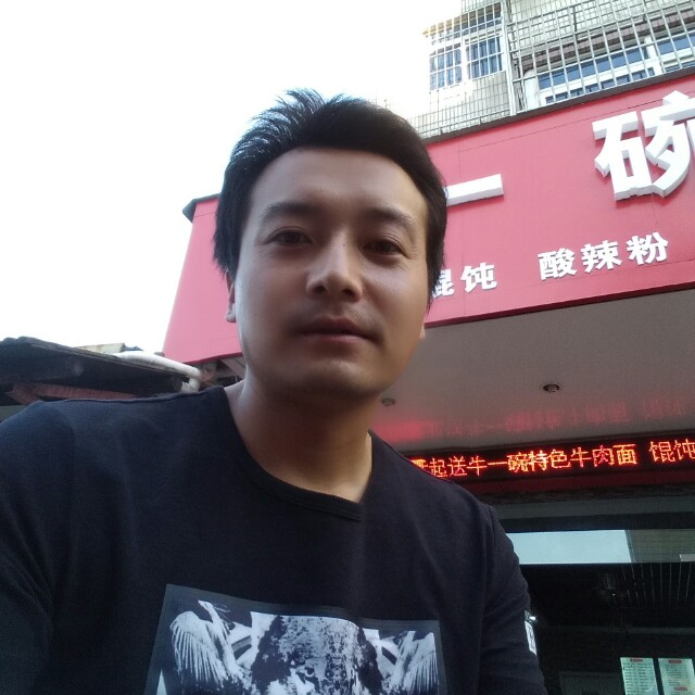 帅气飞鸟的照片