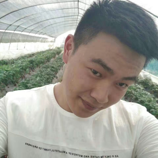 外向寒风的照片