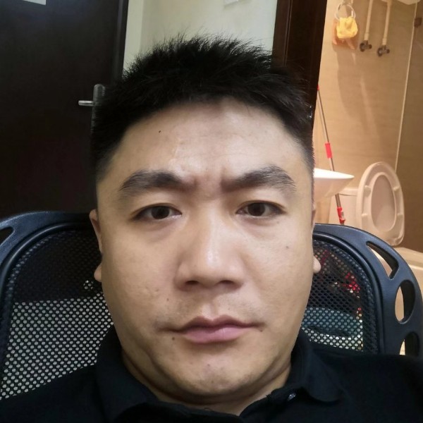 小海豚的傻傻的照片