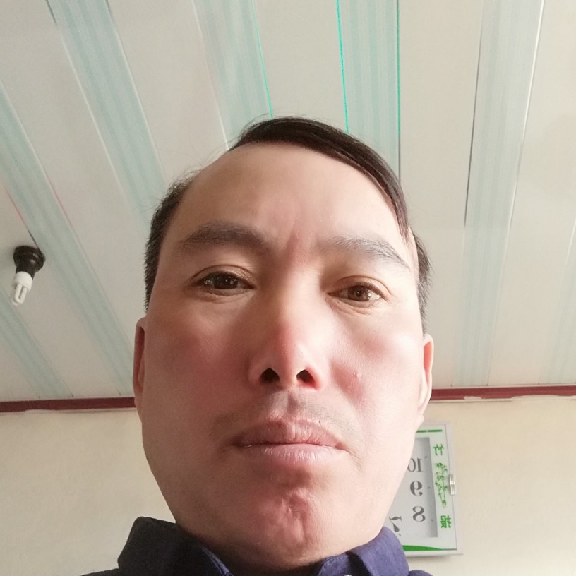 柠檬苹果的照片