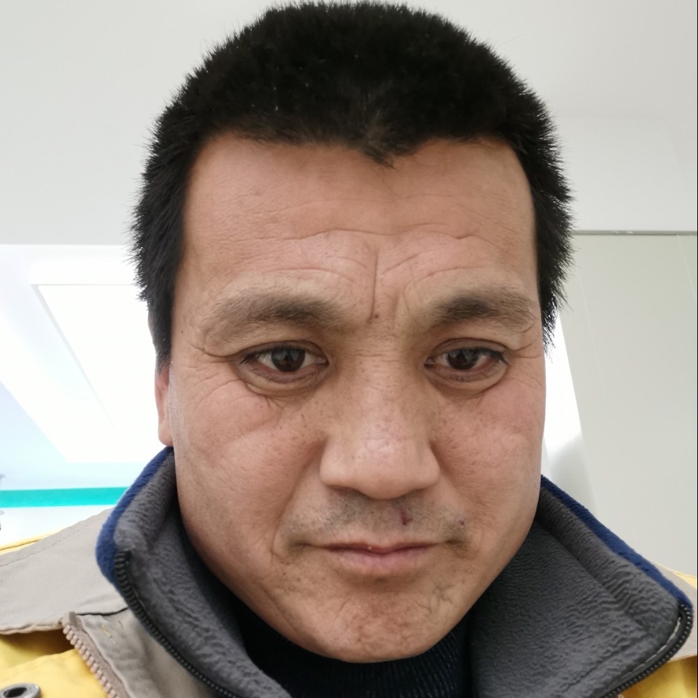 鸭子倾心背后的照片