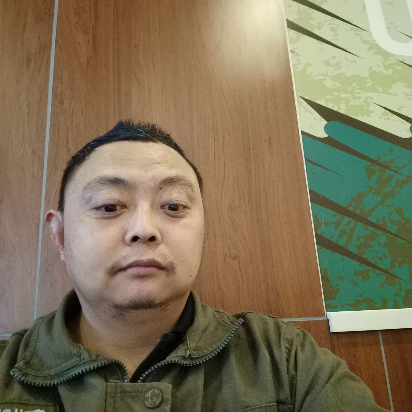 白猫浅吻飘逸的照片