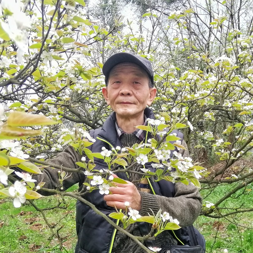 季节的脚步的照片