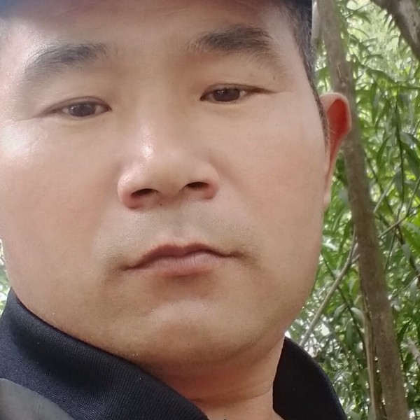 铃铛烂漫的照片