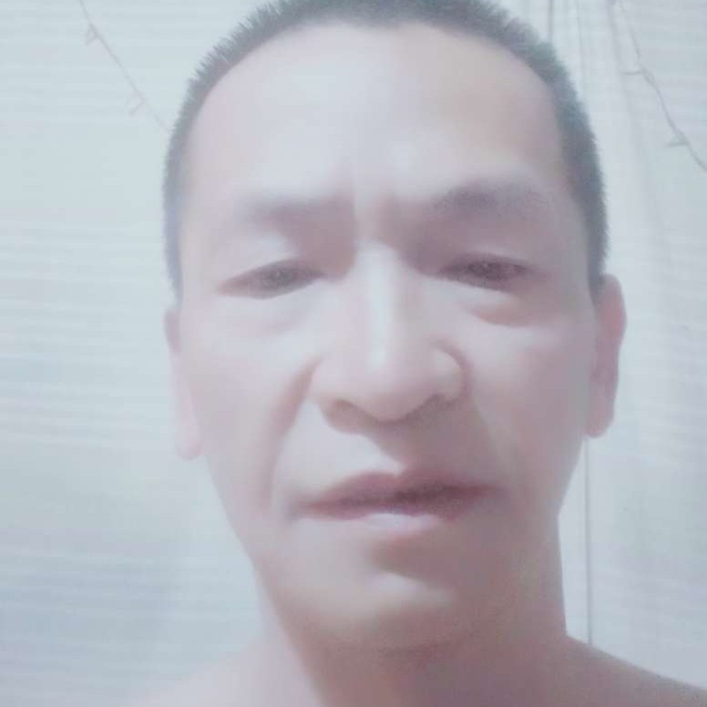 孤独向惊鸿的照片