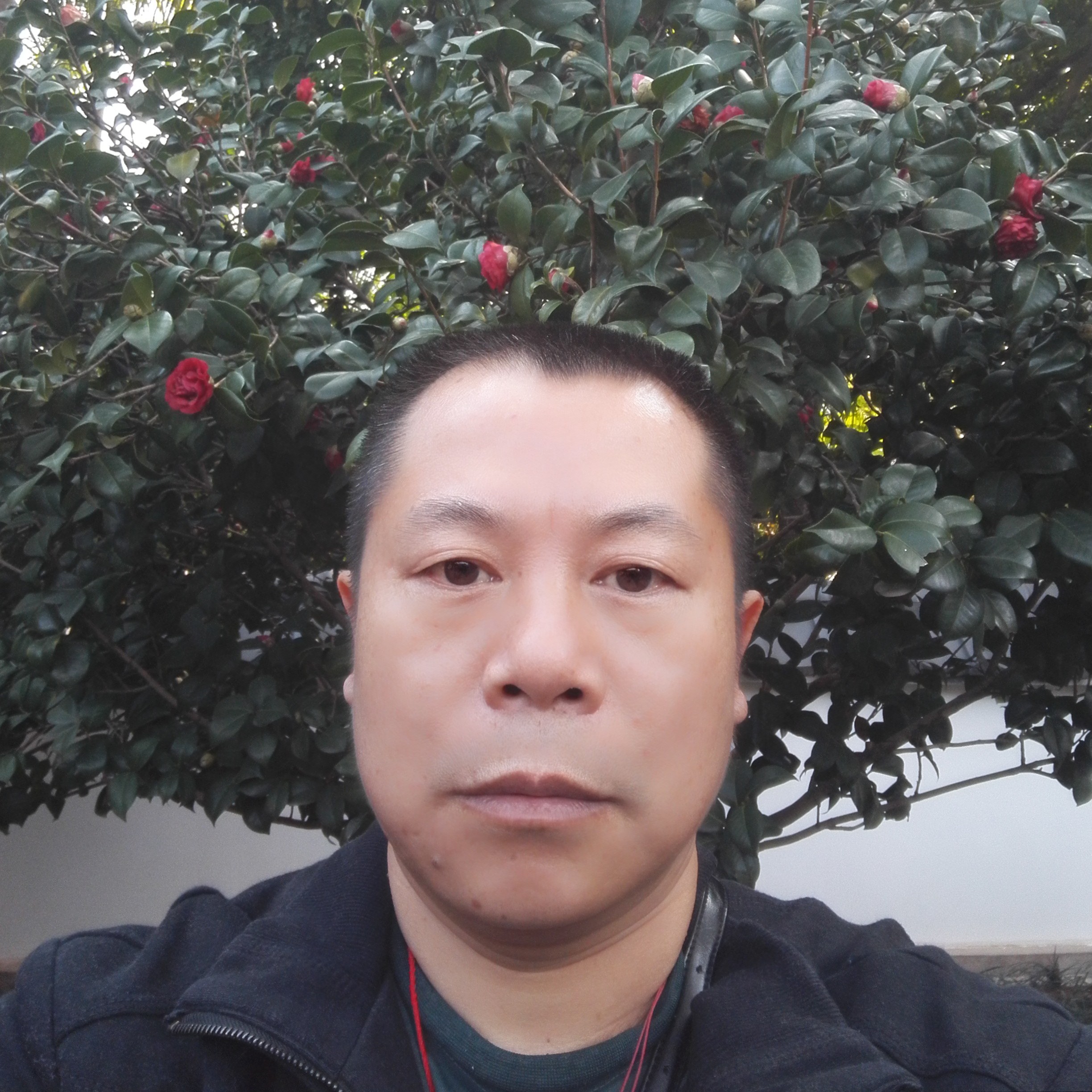 长青鹏的照片