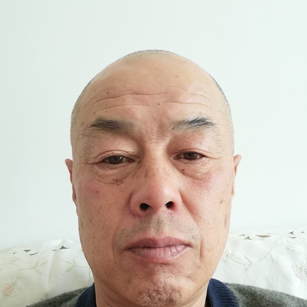 蜜蜂爱恋烂漫的照片