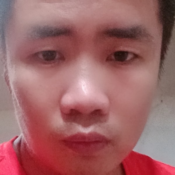 饼干回眸贪玩的照片