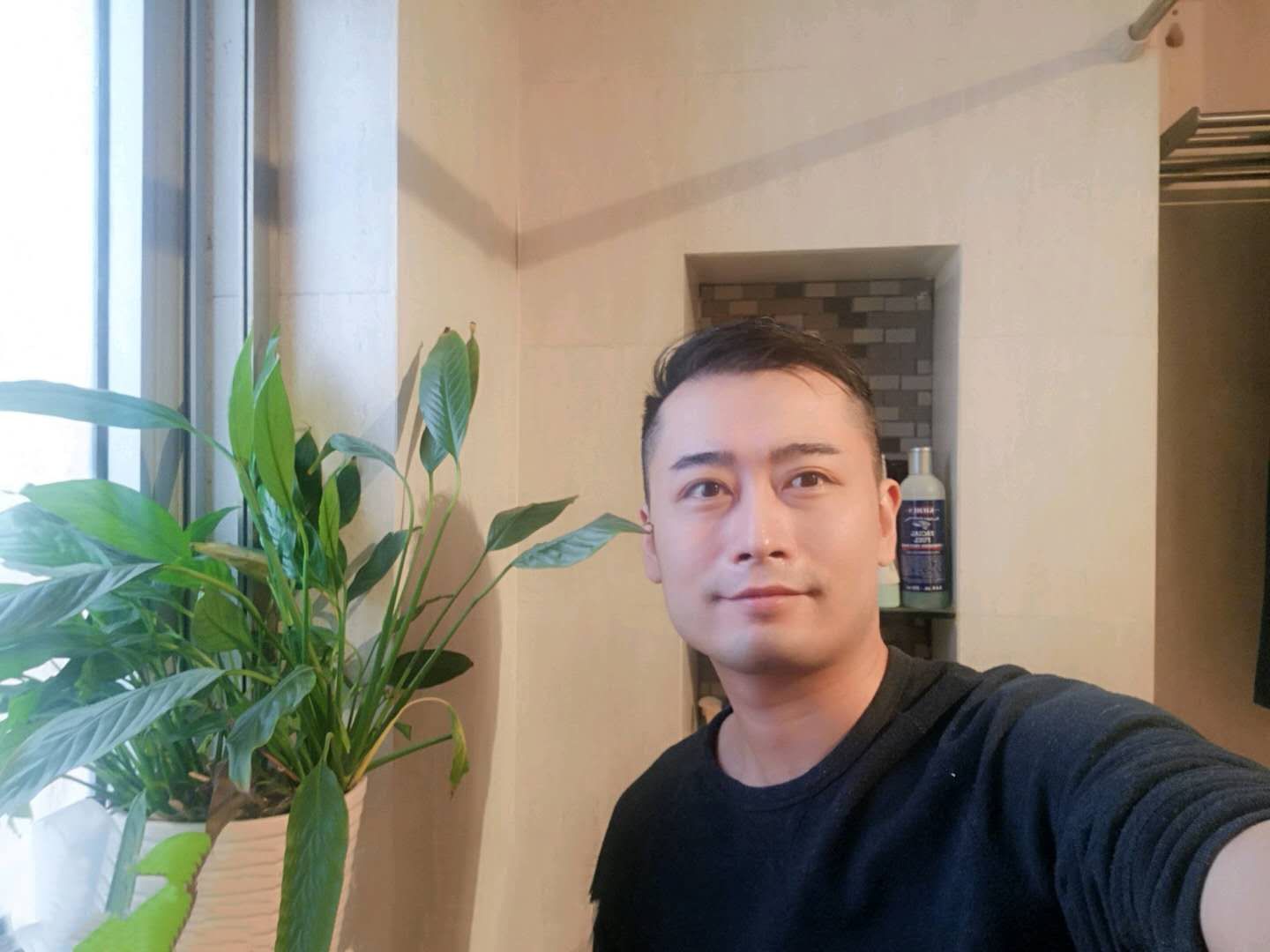 天意此树已挂的照片