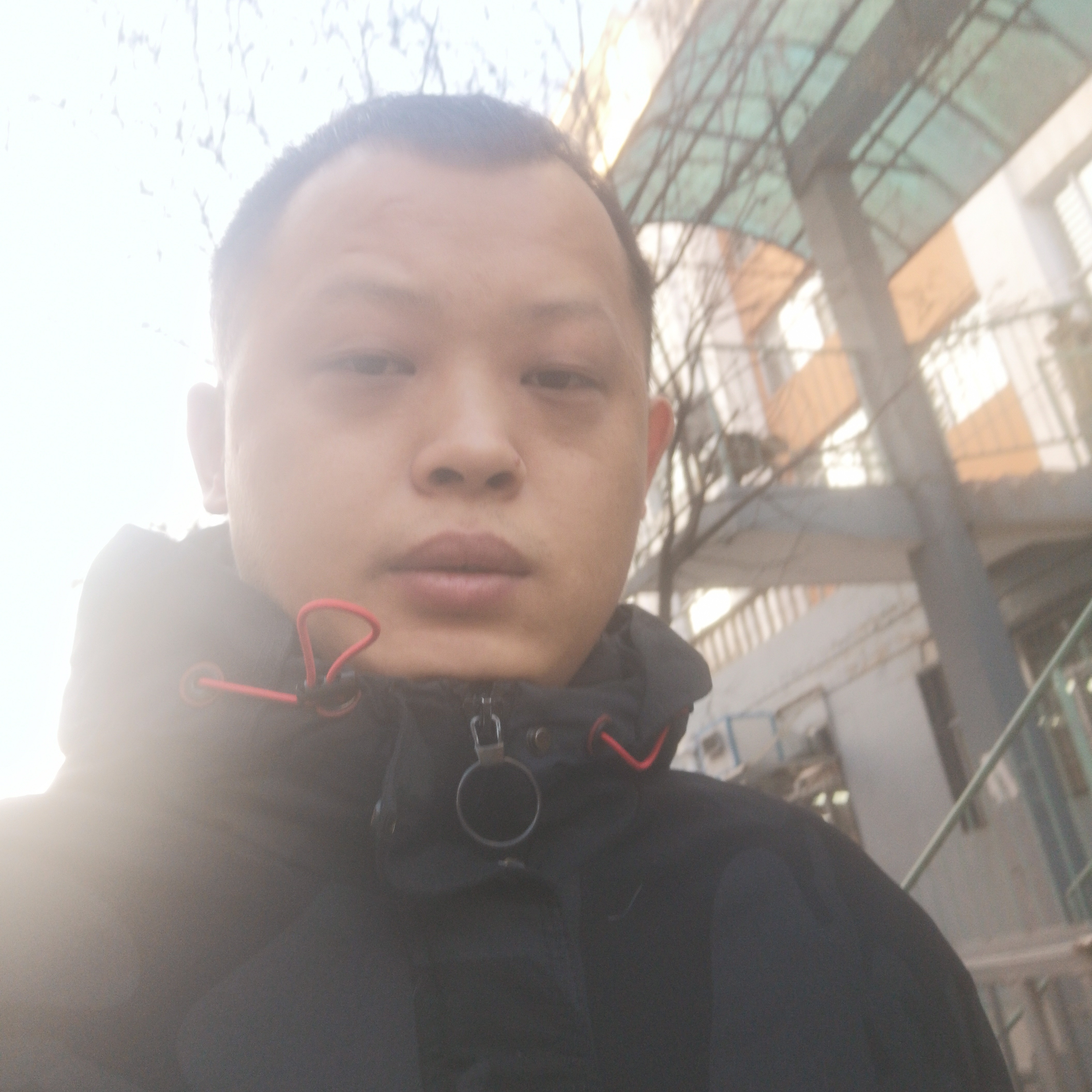 路灯凝眸背后的照片