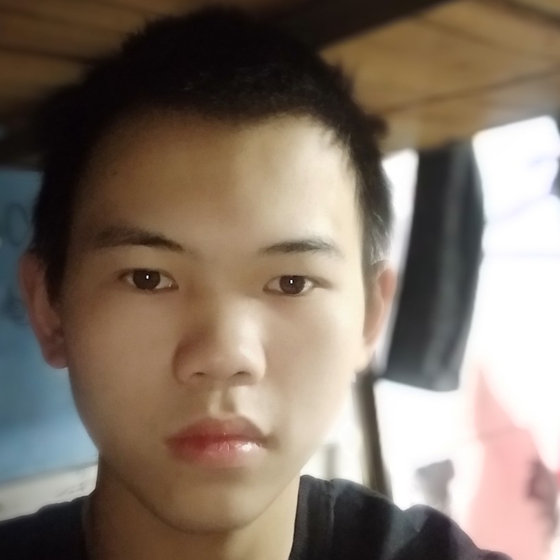 小蘑菇甜美的照片