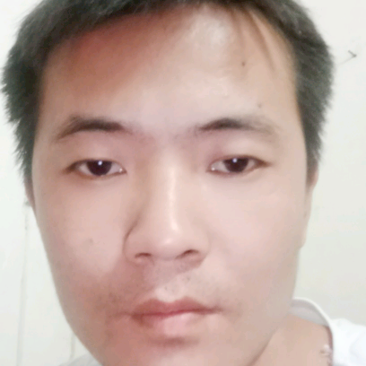 缠绵与小蜜蜂的照片