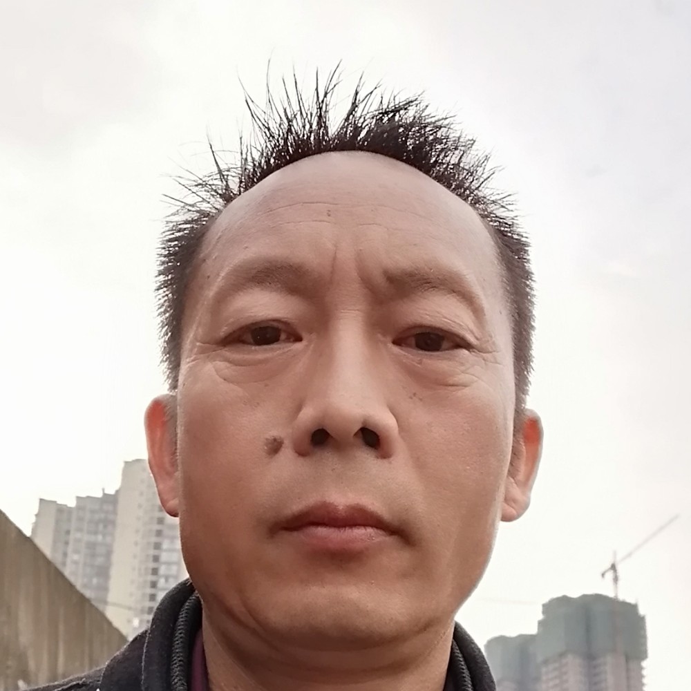 红玫瑰粗暴的照片