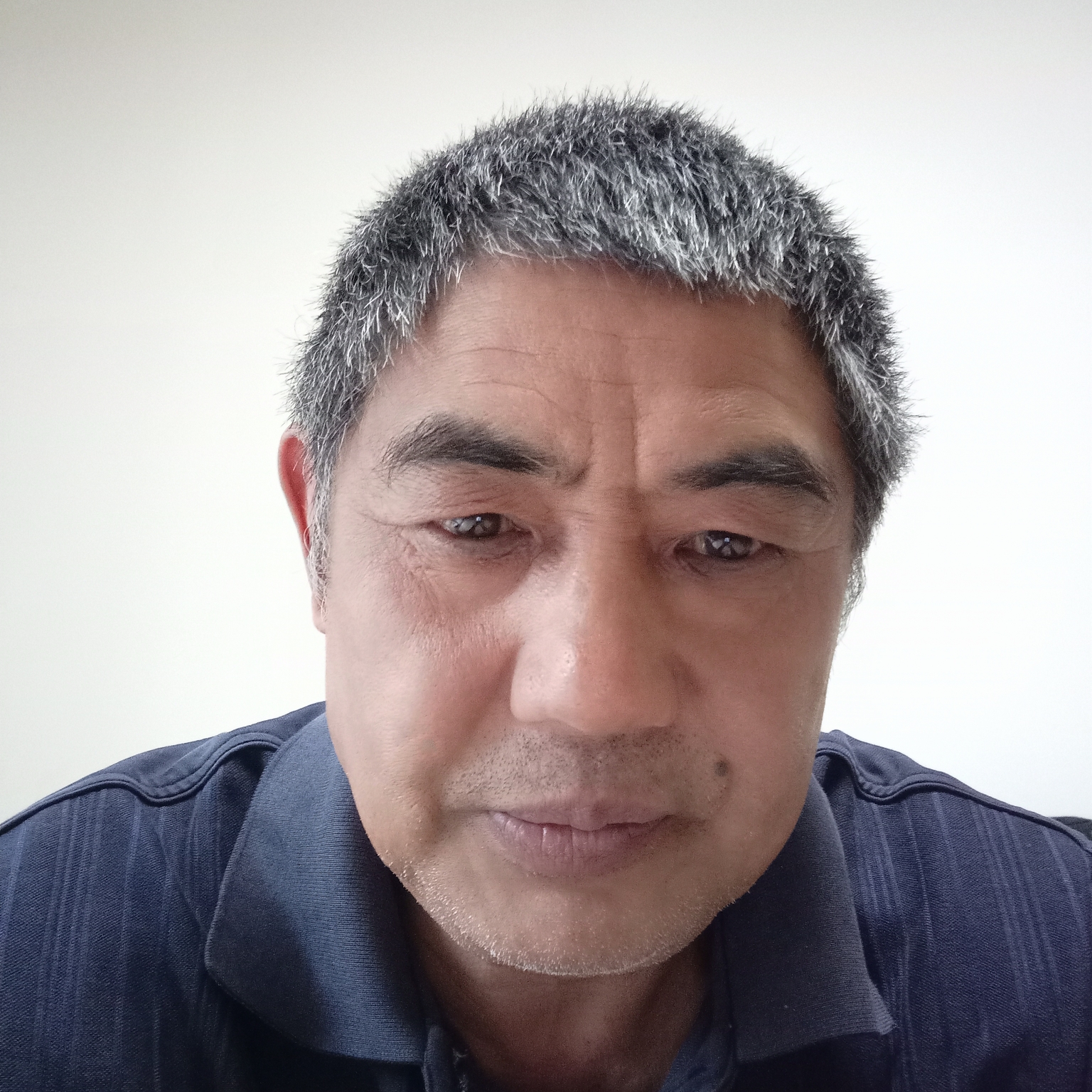 丰富回眸大树的照片