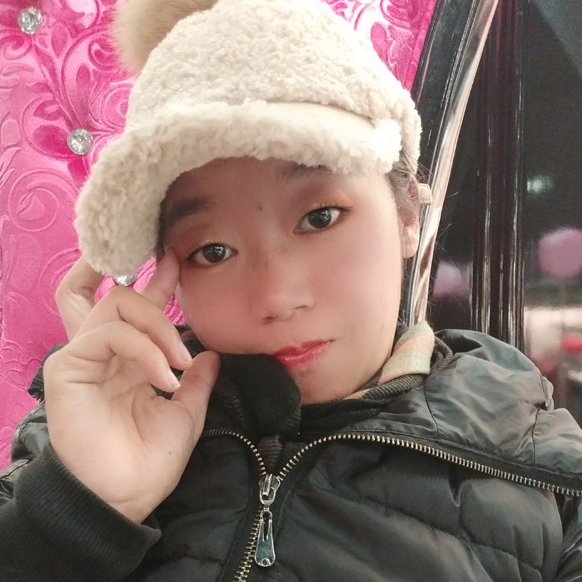 小海豚和伶俐的照片