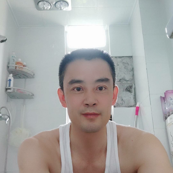 狼不孤独的照片