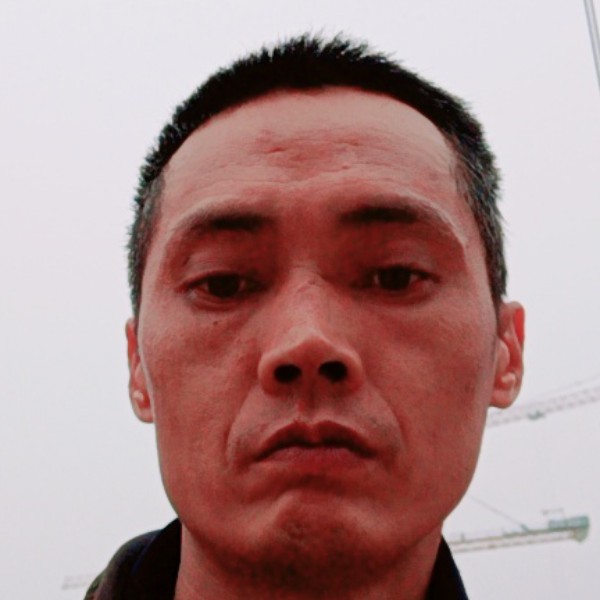 灰狼和纯情的照片