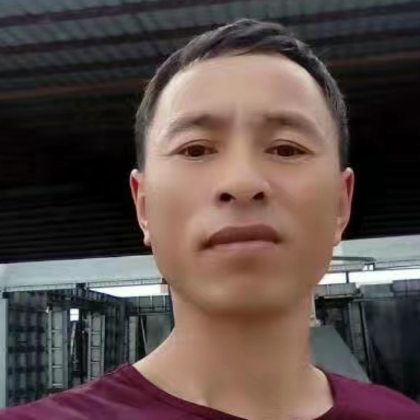 知性回眸白猫的照片