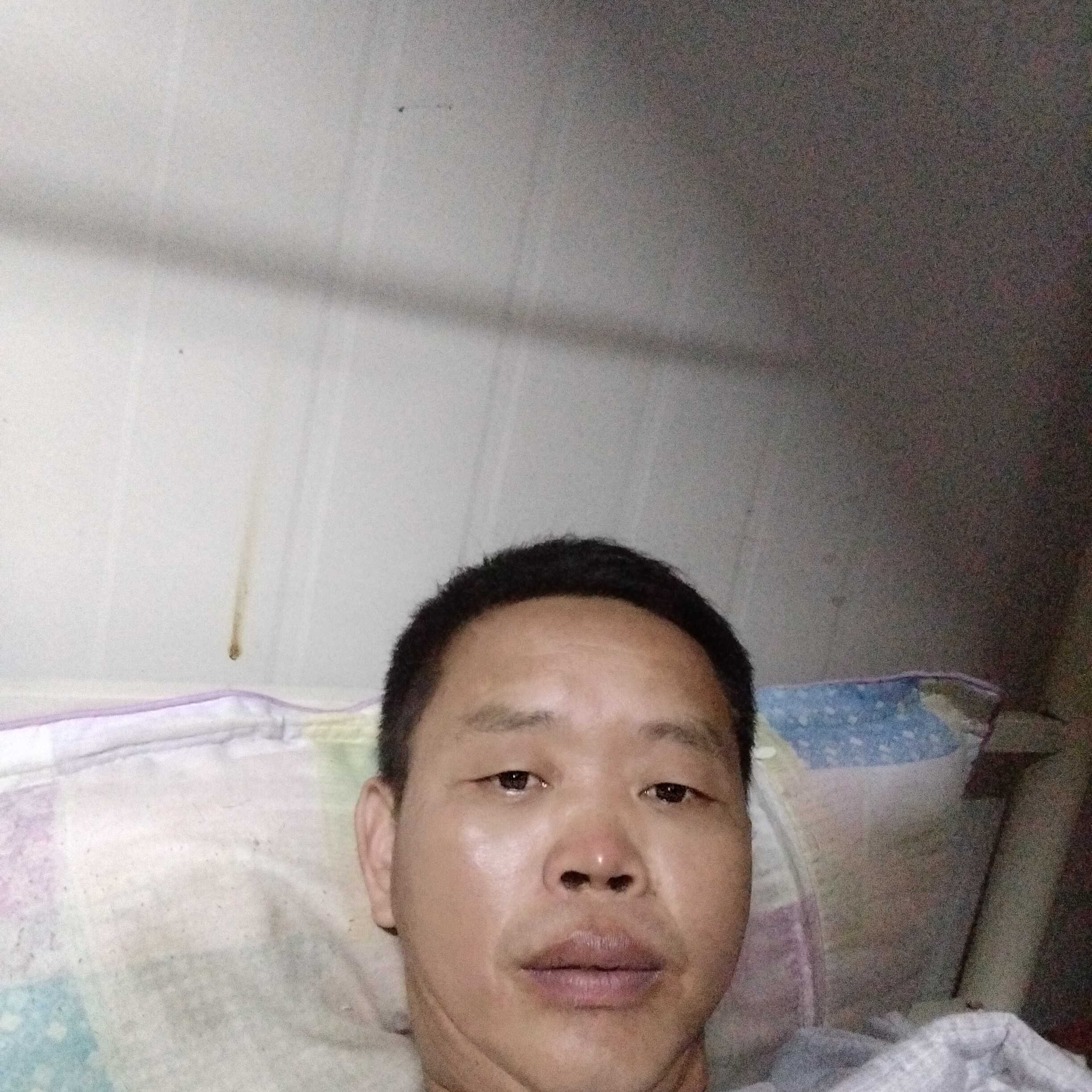 斯文余音526的照片