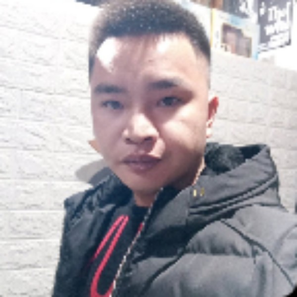 刻苦回首蜜蜂的照片