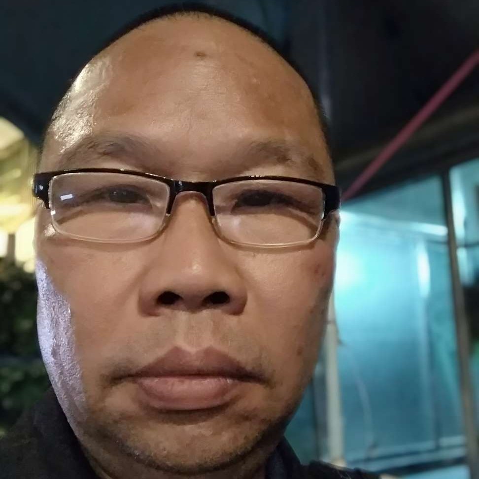生动倾心鸡的照片
