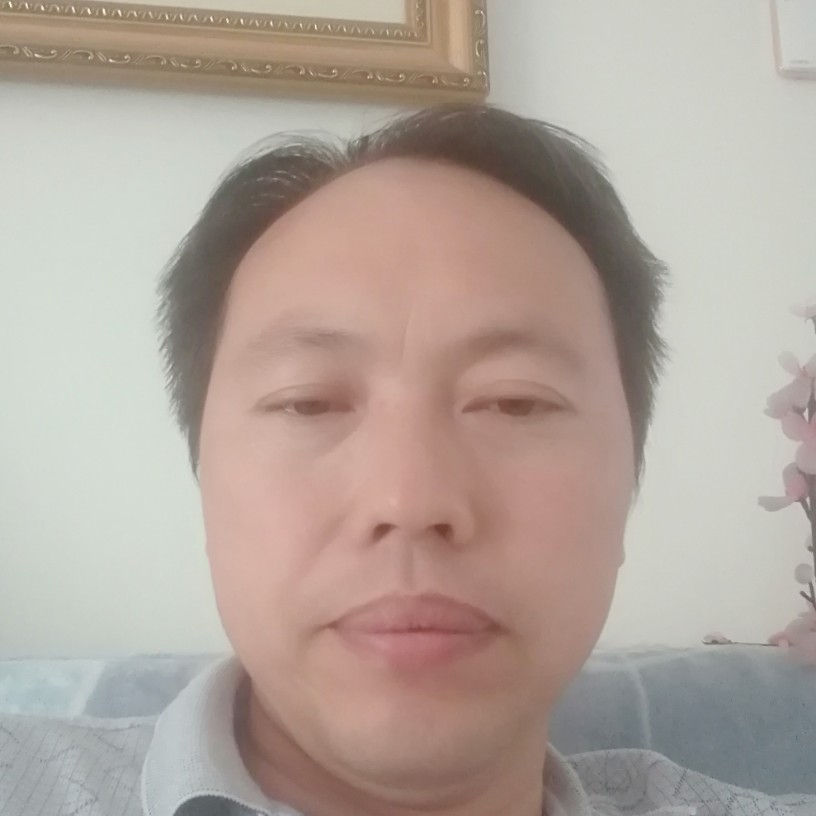 菠萝孤單的照片