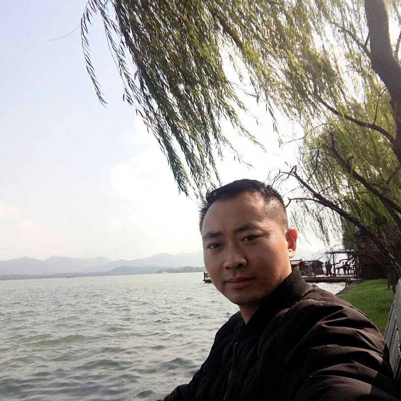 踏雪寻梅花的照片