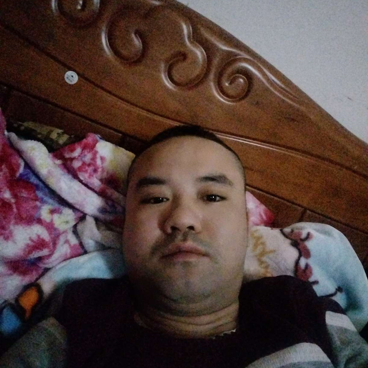 夕阳蹁跹淡然的照片