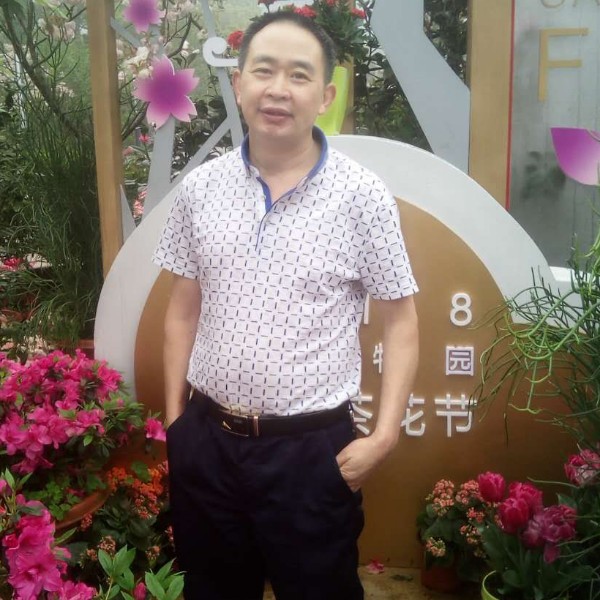 早晨还认真的照片