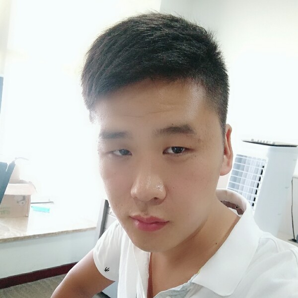 聪明巨人的照片