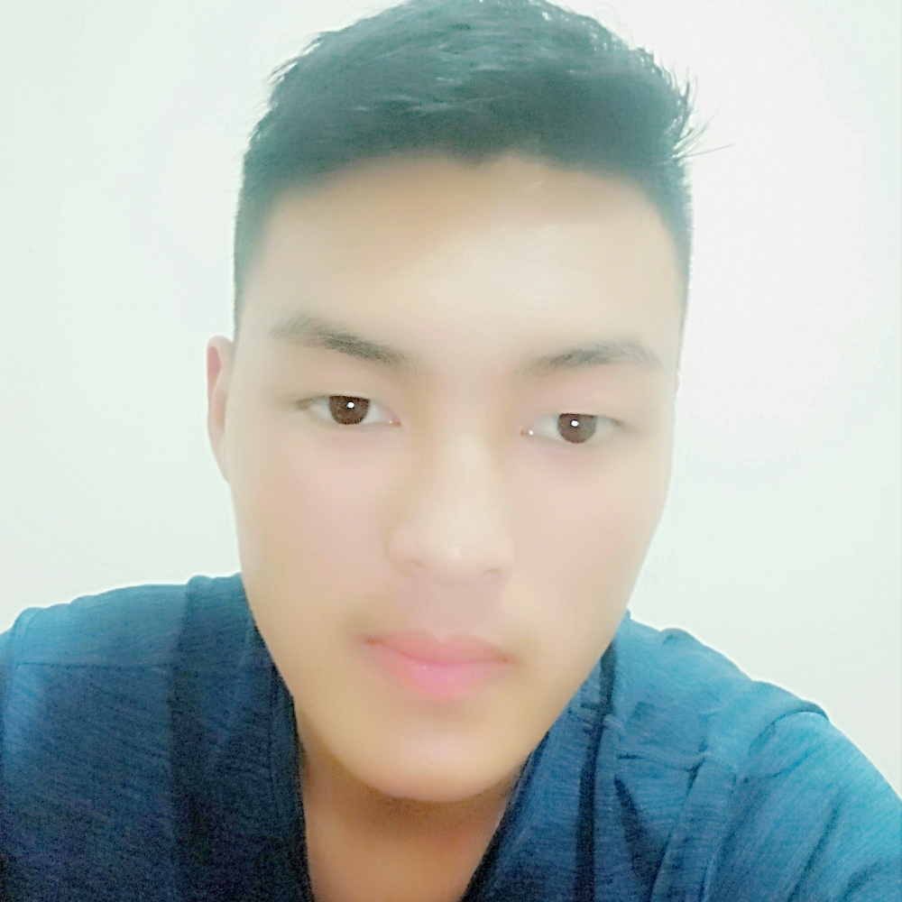 不随风的照片