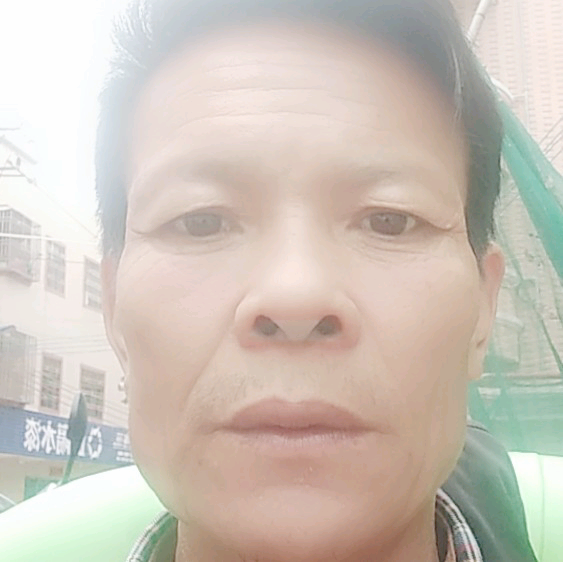 长颈鹿沉默的照片