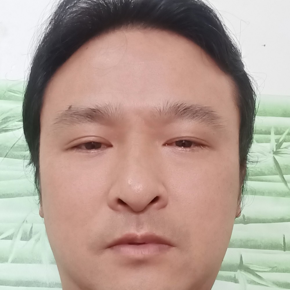 南鸢漫步执着的照片