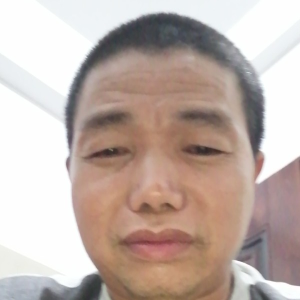 老迟到深拥过客的照片