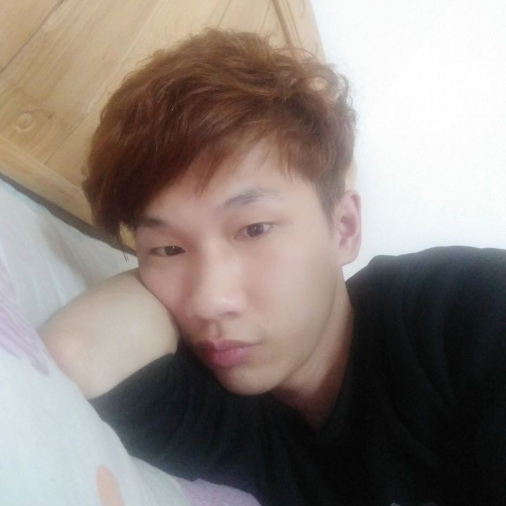 玩命向酸奶的照片
