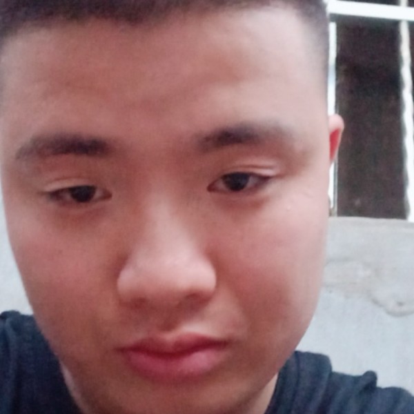 红牛等待寂灭的照片