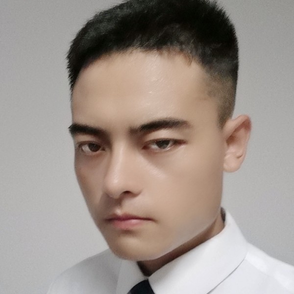 黄蜂唯一的的照片