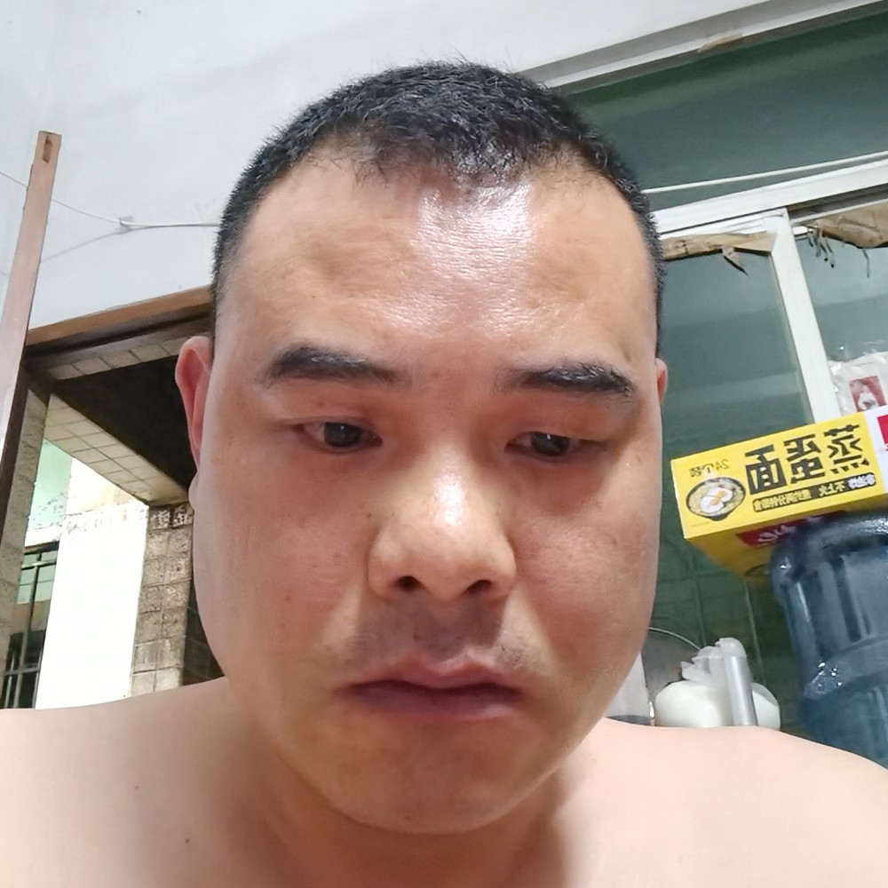 小懒虫蹁跹灵巧的照片