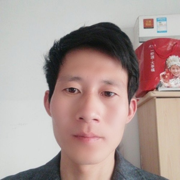 爱你的熊的照片