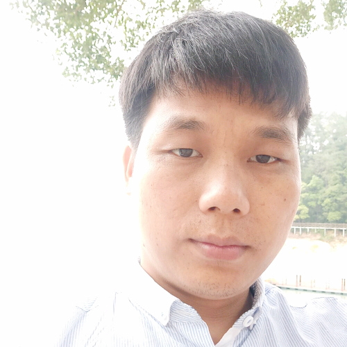 迷路刺猬的照片