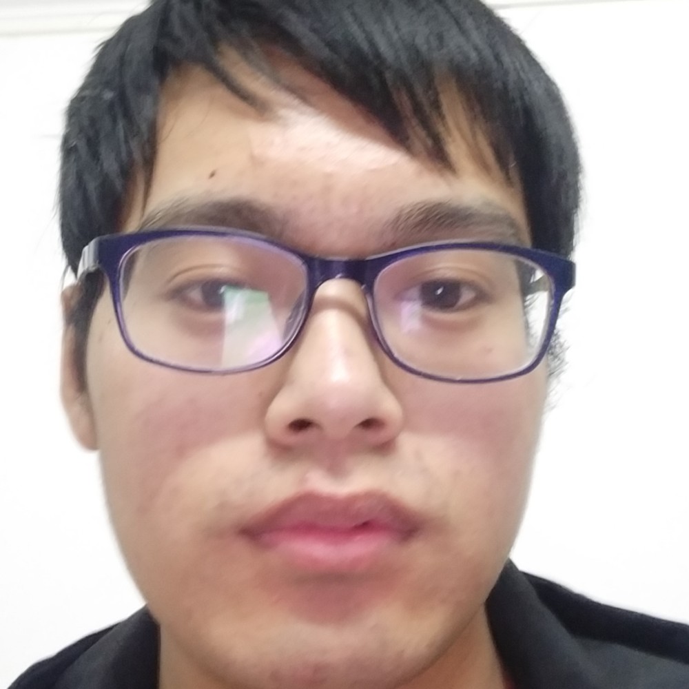 寒冷金毛的照片