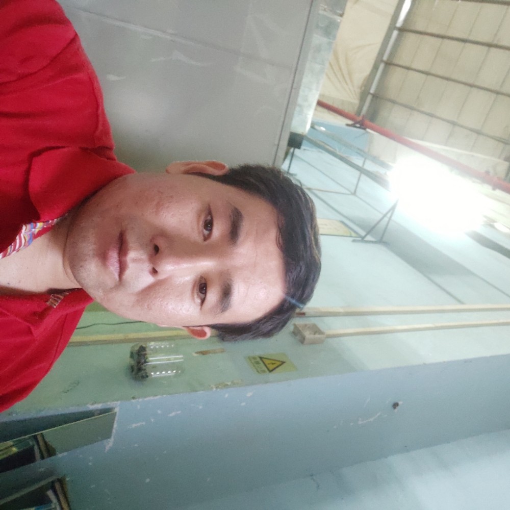 鱼高贵的照片