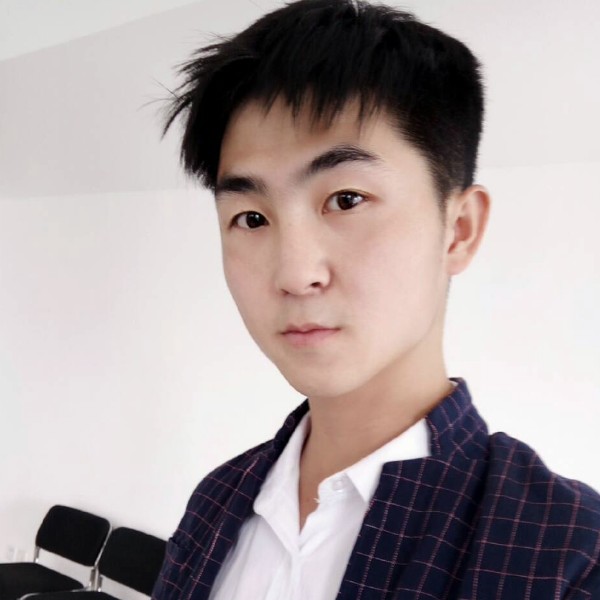 斯文演变白昼的照片