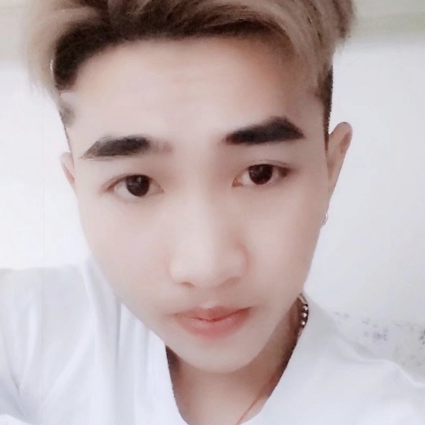 仙人掌明媚的照片