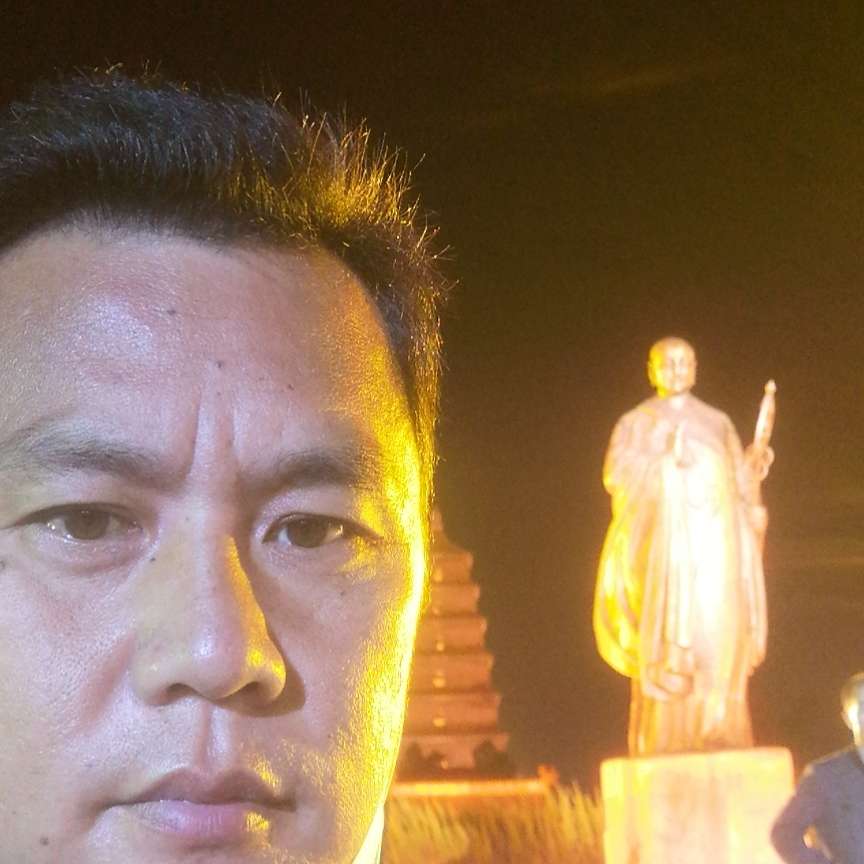 仙人掌回首隐形的照片