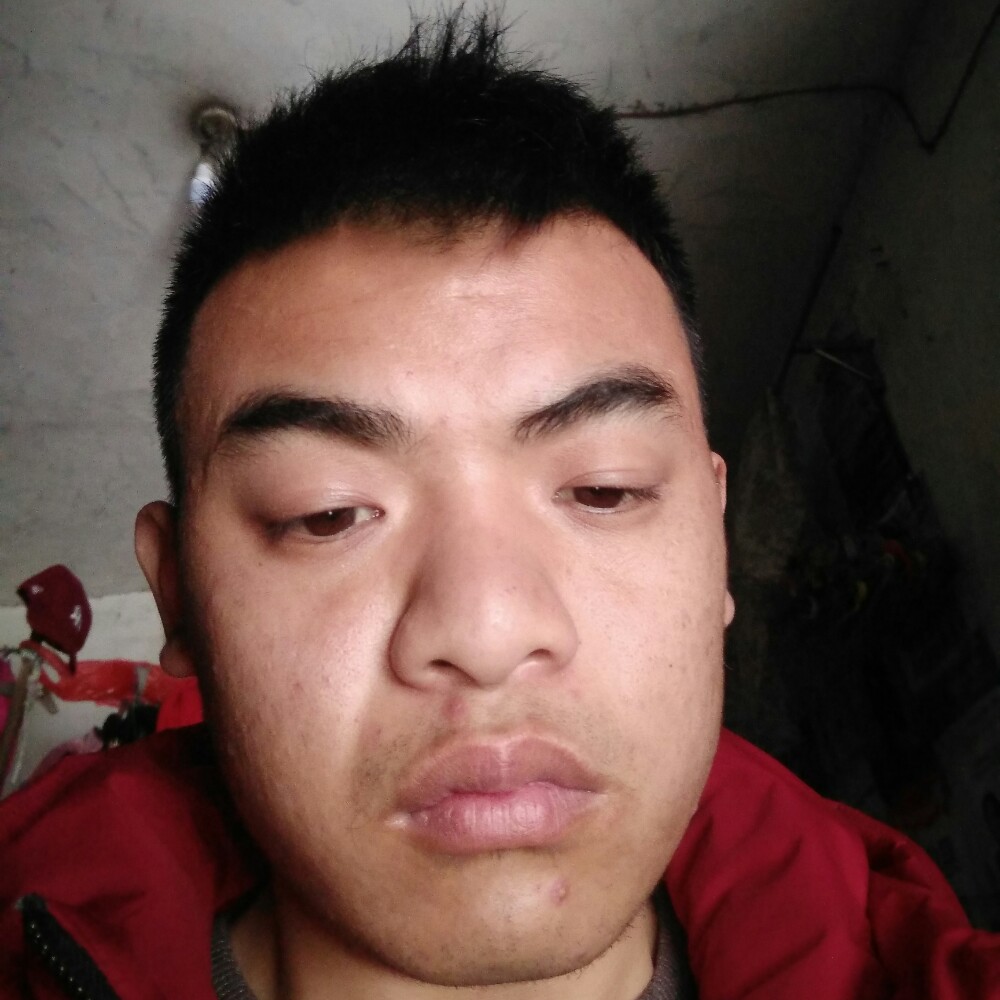 发过了会玩儿家族的照片